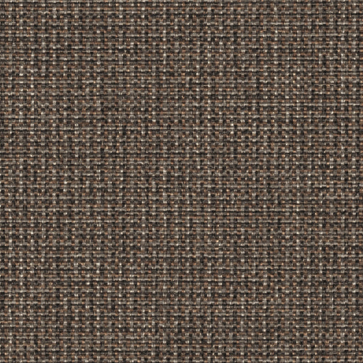 Caliente - Performance Upholstery Fabric - swatch / caliente-brown - Revolution Upholstery Fabric