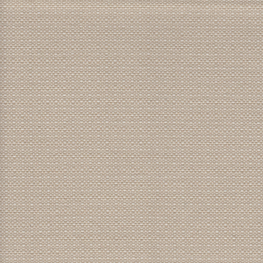 Sixpence - Outdoor Washable Performance Fabric - Yard / HalfNHalf - Revolution Upholstery Fabric