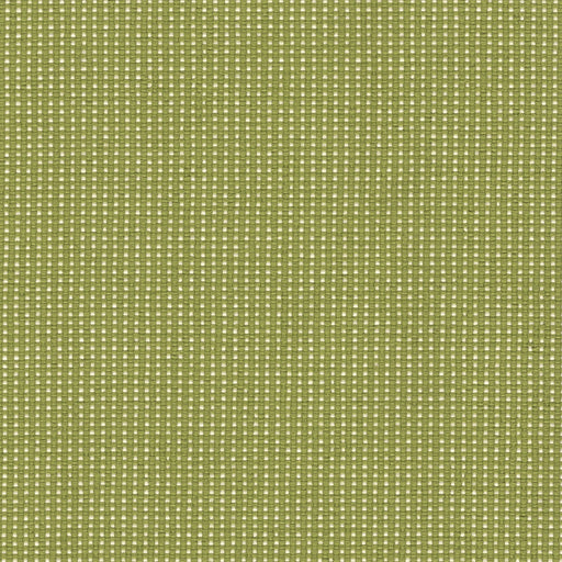 Bamboo Bay Outdoor Fabric - Swatch / Pear - Revolution Upholstery Fabric