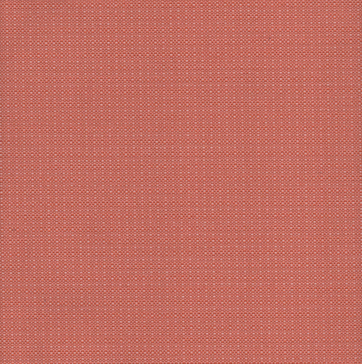 Phoenician - Revolution Plus Performance Fabric - yard / phoenician-mango - Revolution Upholstery Fabric