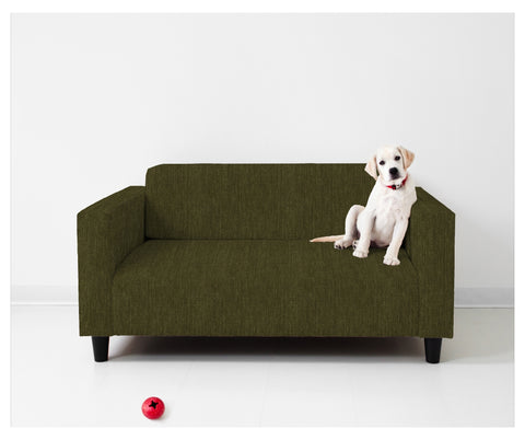 A small white dog sitting on a green upholstered sofa, showcasing Revolution Performance Fabrics' pet-friendly and durable fabric.