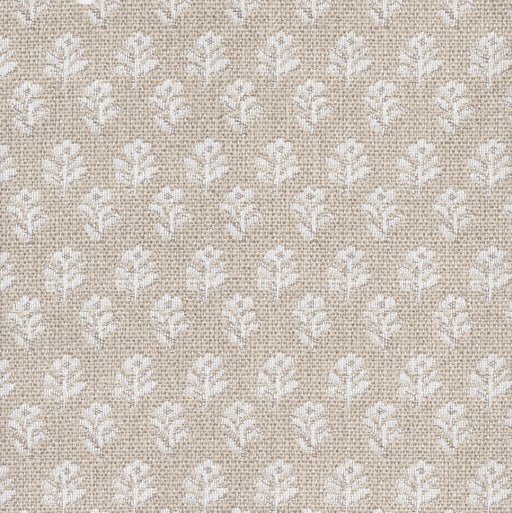 Whimsy - Swatch / Ivory - Revolution Upholstery Fabric