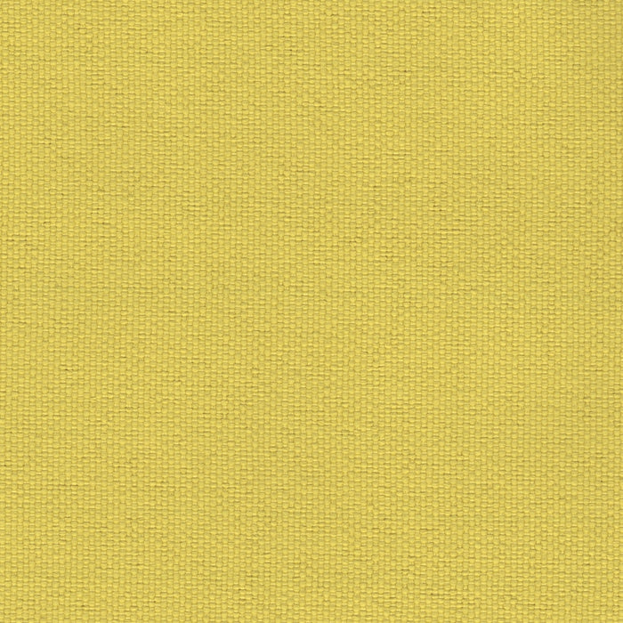 Brightside - Outdoor Upholstery Fabric - yard / Yellow - Revolution Upholstery Fabric